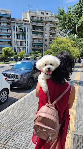 Pacient TrioHelp Vet